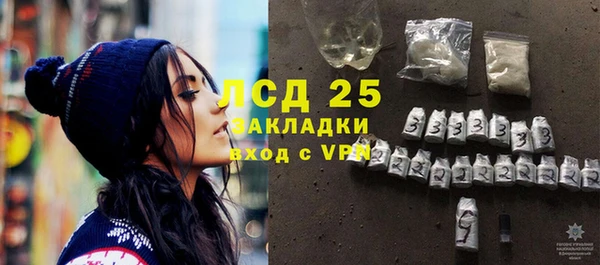шишки Беломорск